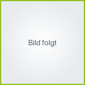 Profilbild N. Bruchheuser